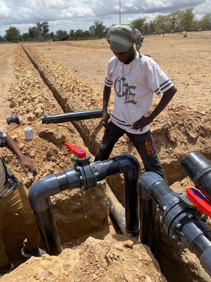 Champs irrigués en Afrique de l'Ouest