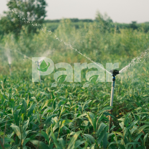 Système d'irrigation agricole
